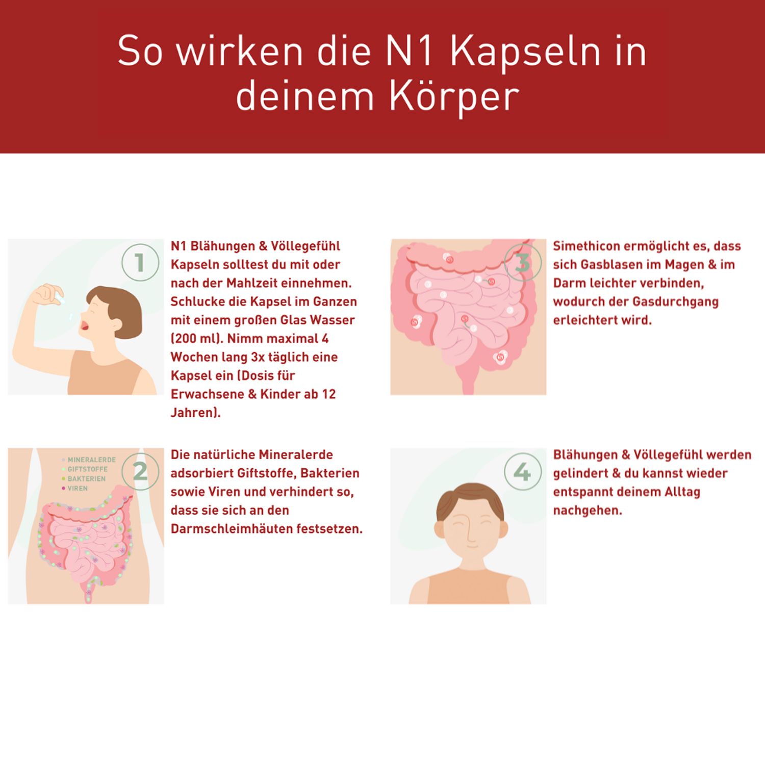 N1 Blähungen & Völlegefühl Kapseln - Natürliche Mineralerden + Simeticon