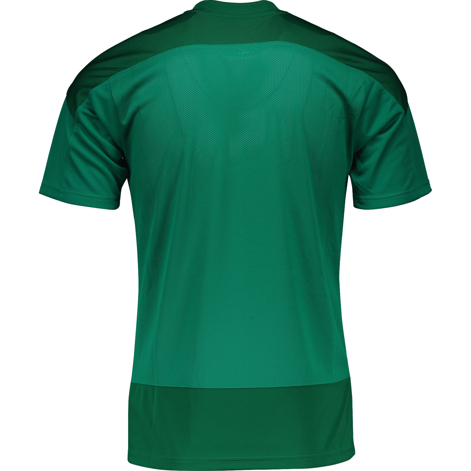 Puma Herren-T-Shirt team Goal M, grün