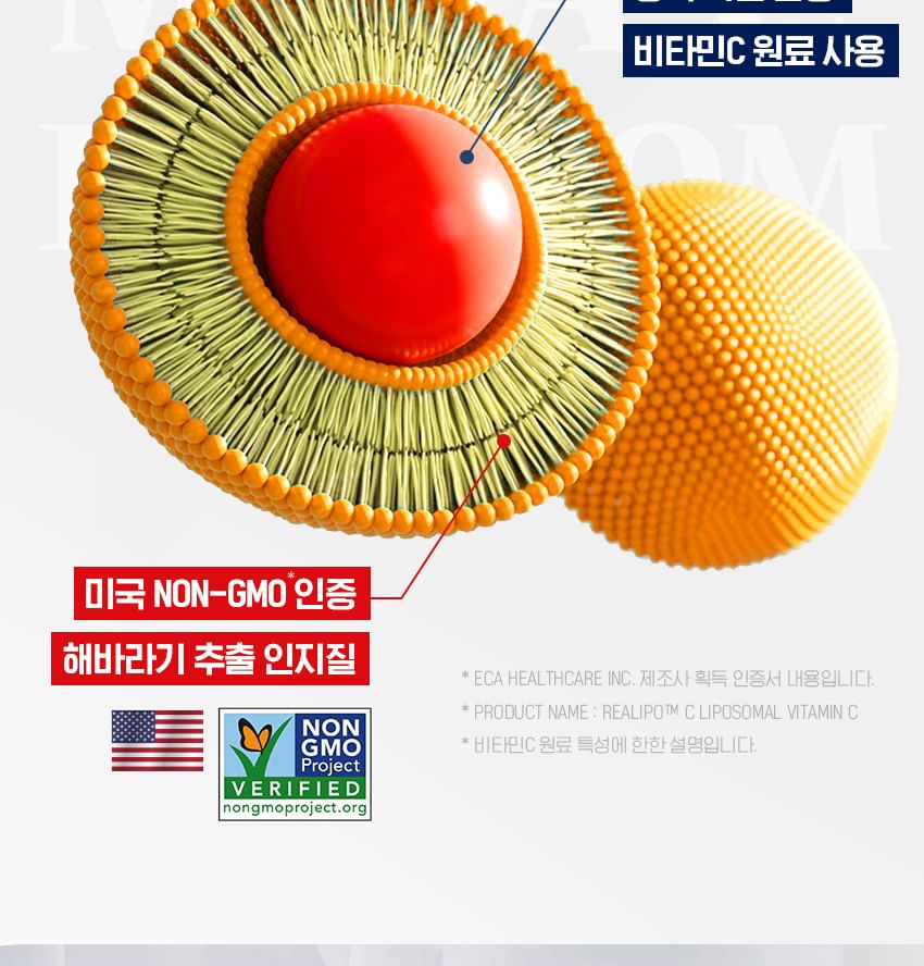 Vitaminedorp - Mega C Liposome Vitamine C 2000