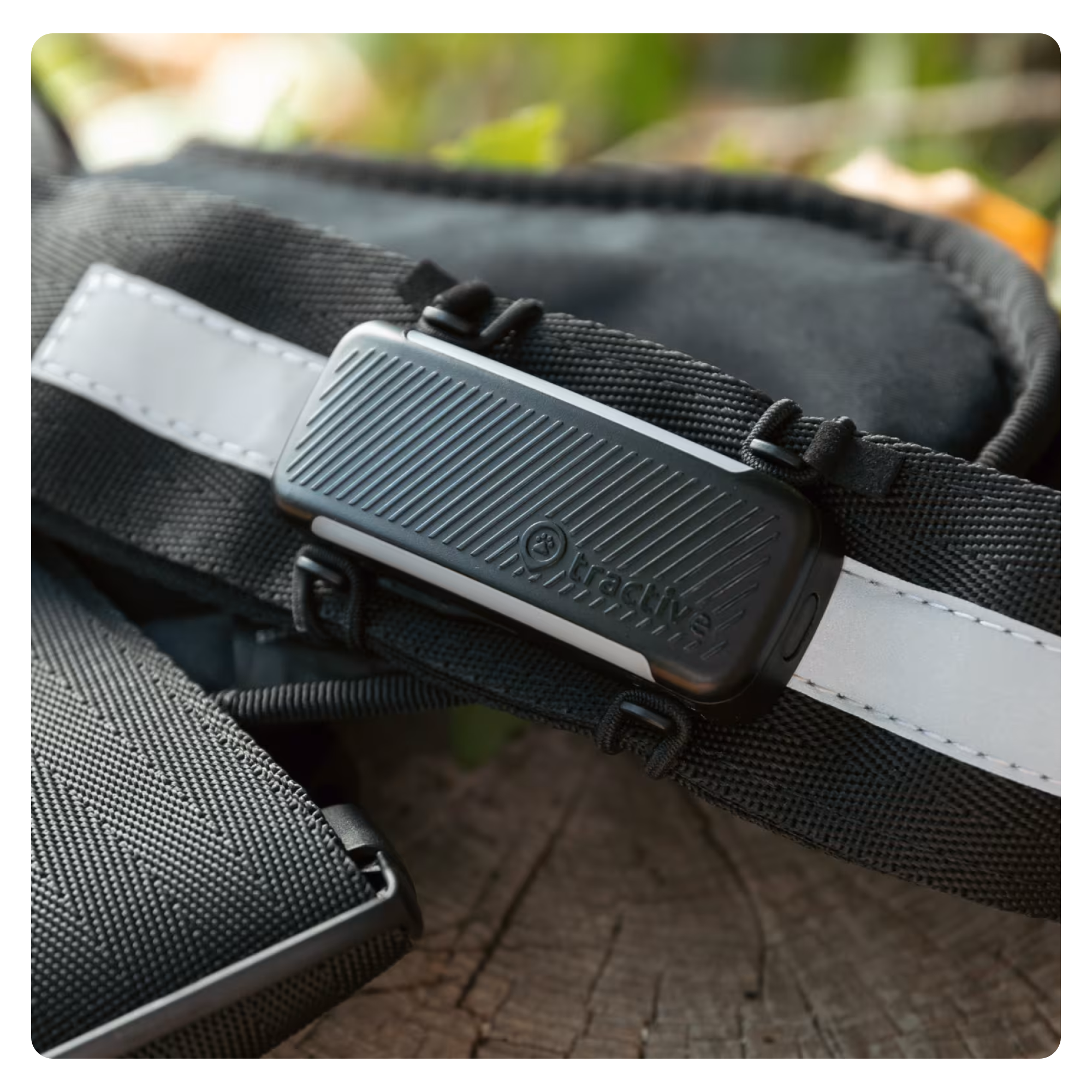 GPS DOG 6 Pet Tracker für Hunde mit Live Ortung und Aktivitäts Tracking iOS/Android (TRDOG6BK) - Schwarz