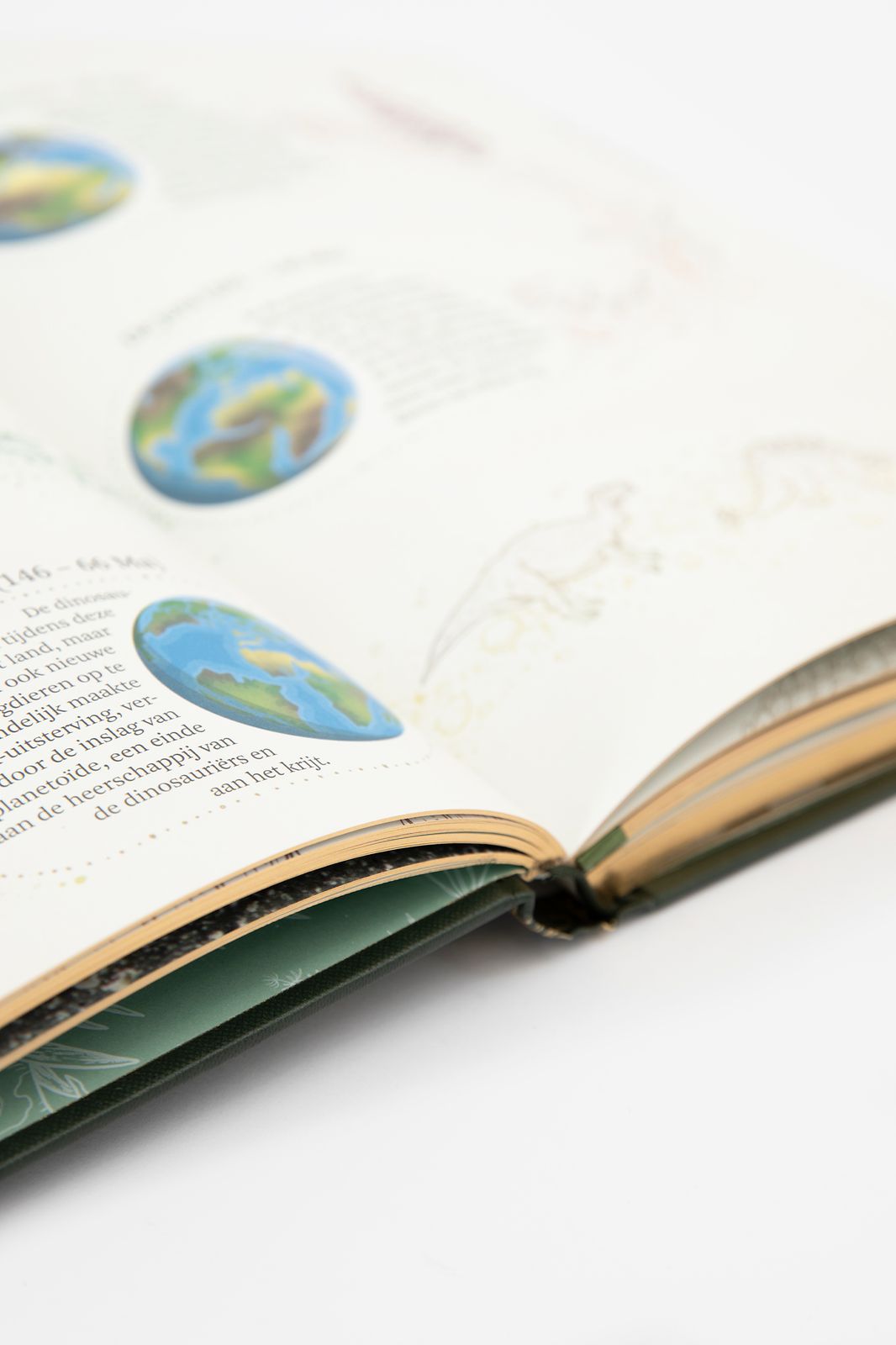 Het dikke boek van bijzondere dino's
