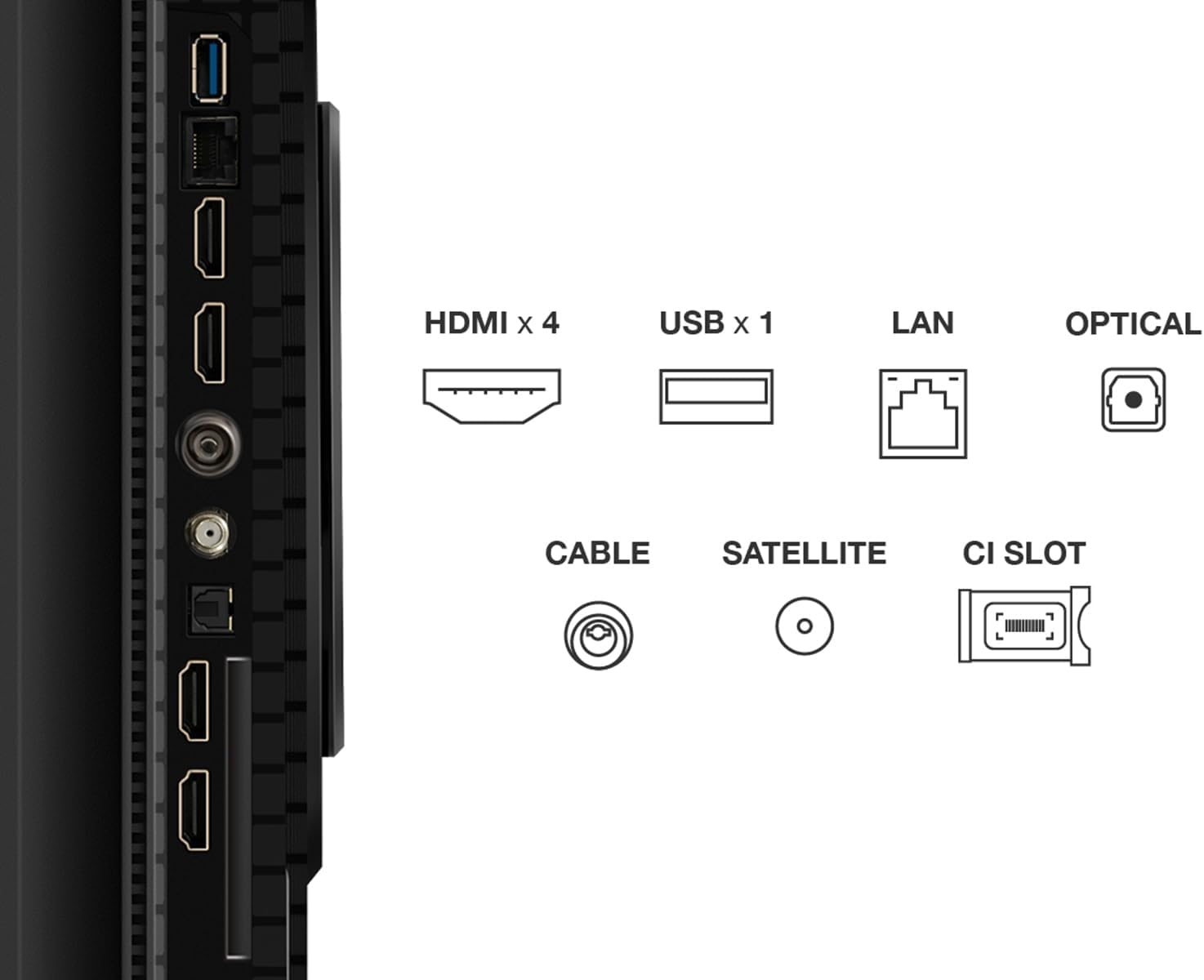 TCL 55T8C 55