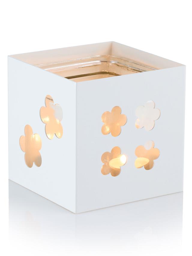 Design-Vase 2-in-1