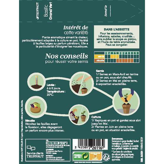 Graines de basilic grand'vert en sachet