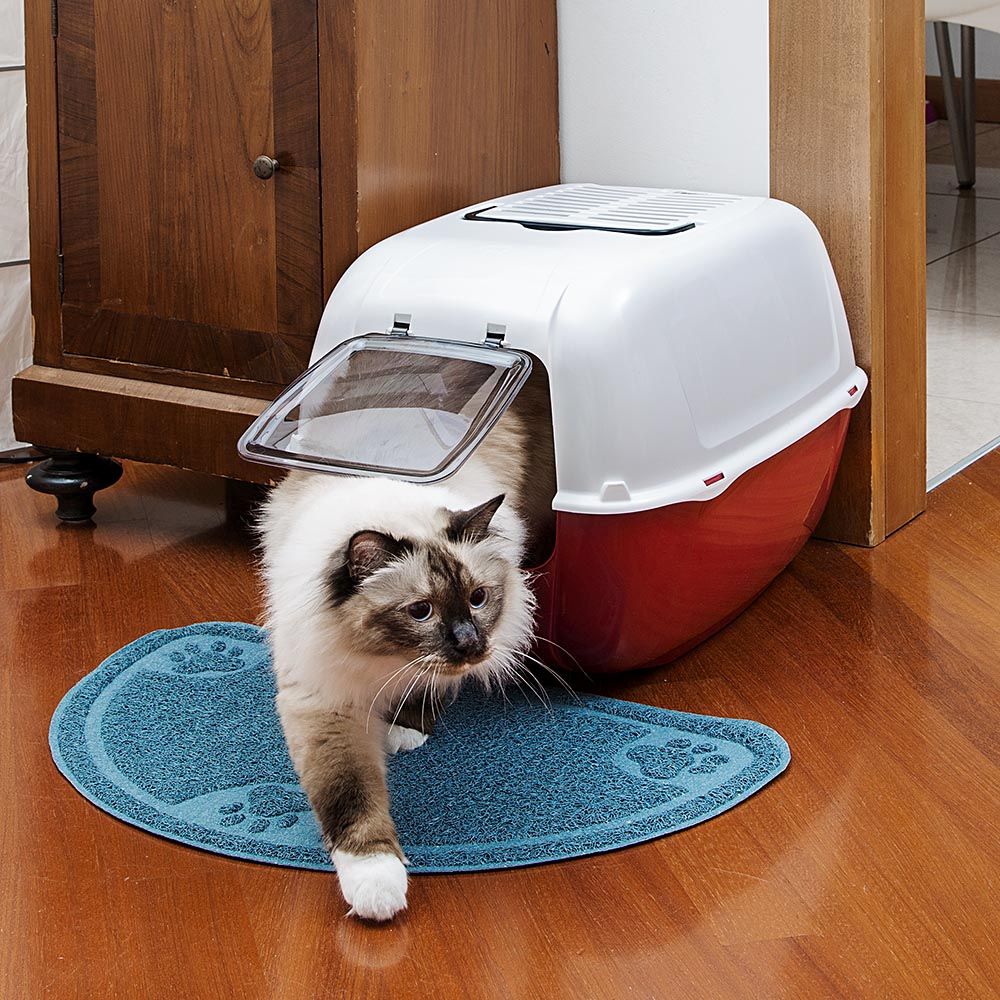Ferplast bac litiere pour chat, maison de toilette pour chat, 2 filtres à charbon actif anti-odeur inclus, porte battante