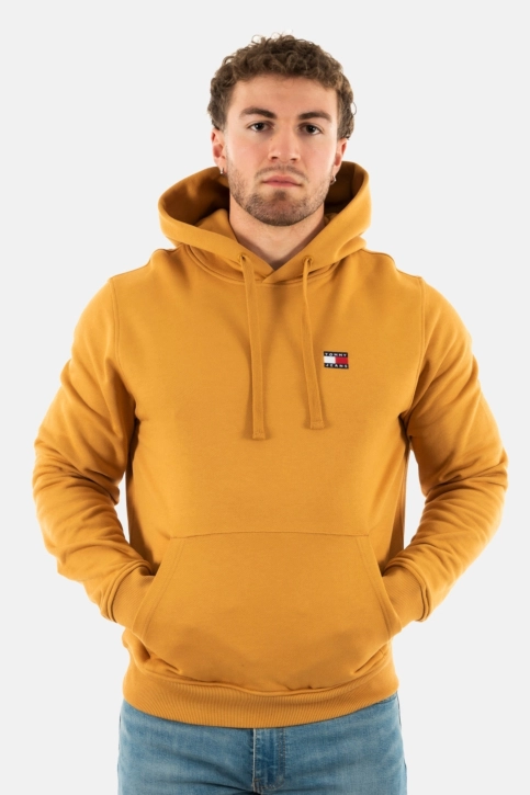 Sweat tommy jeans reg badge gq2 alchemy