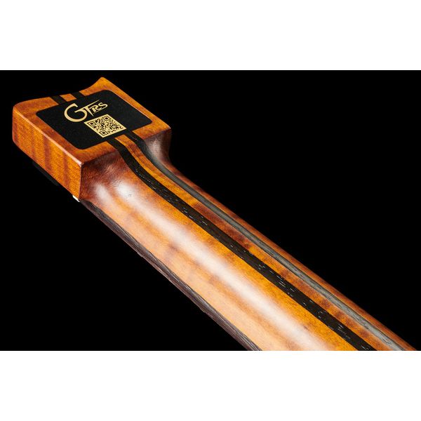 Mooer GTRS Guitars Wing 900 Int API
