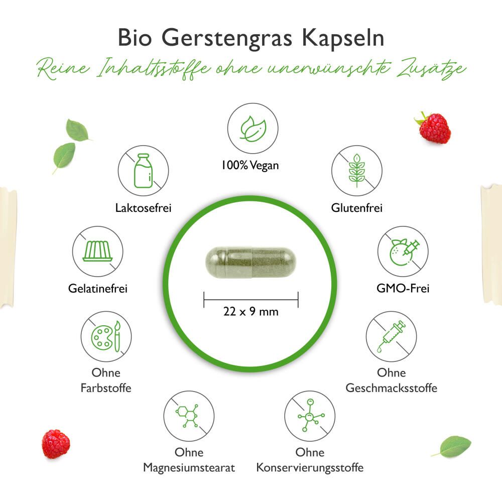 vit4ever Bio Gerstengras