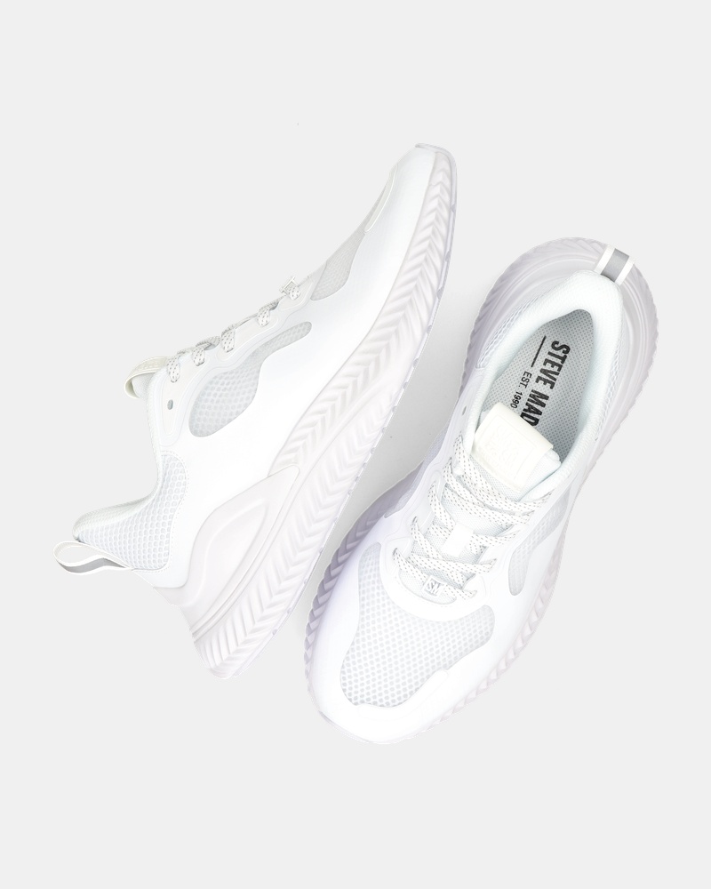 Steve Madden Slater Lage sneakers  - wit