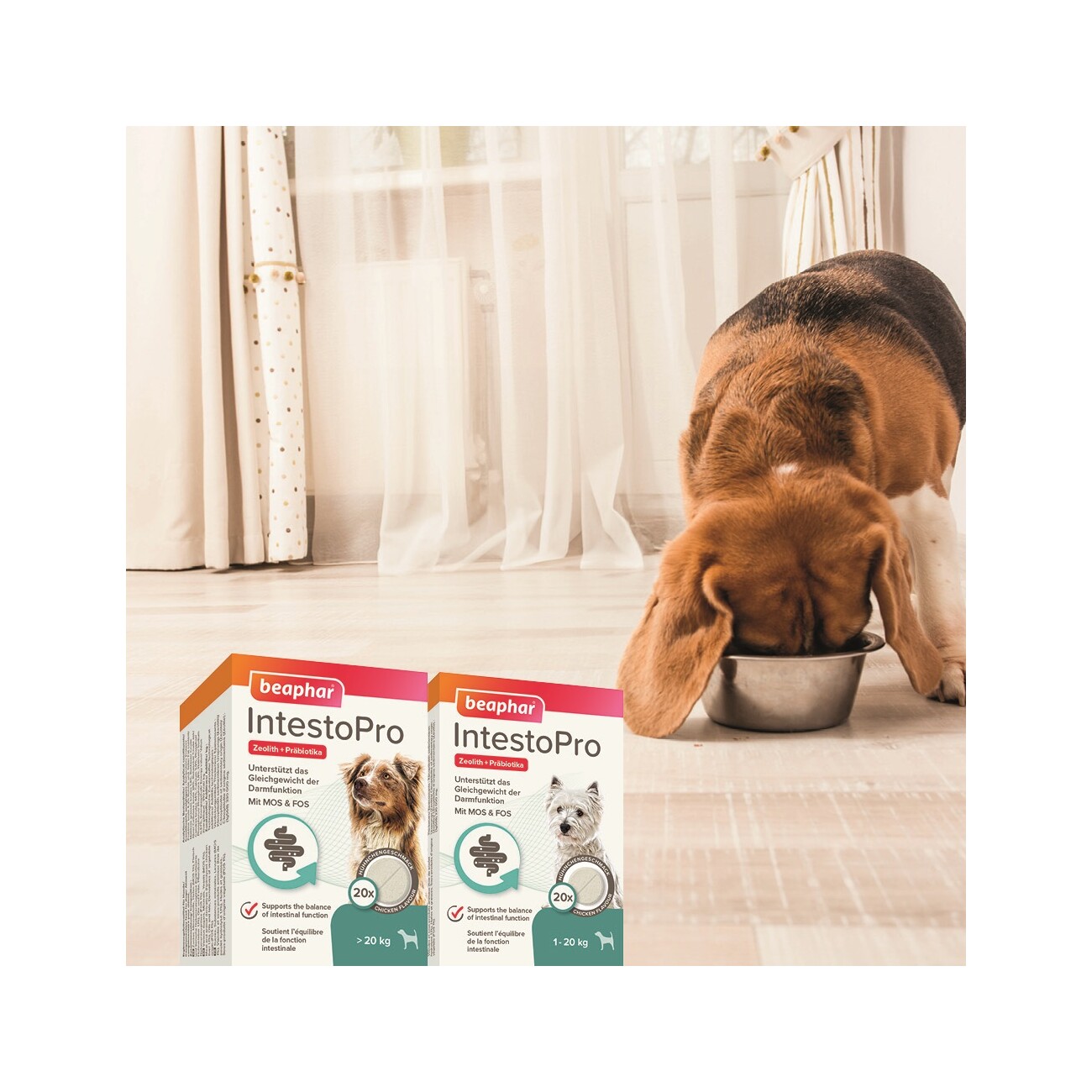 Beaphar IntestoPro Tabs für kleine Hunde 20 St.