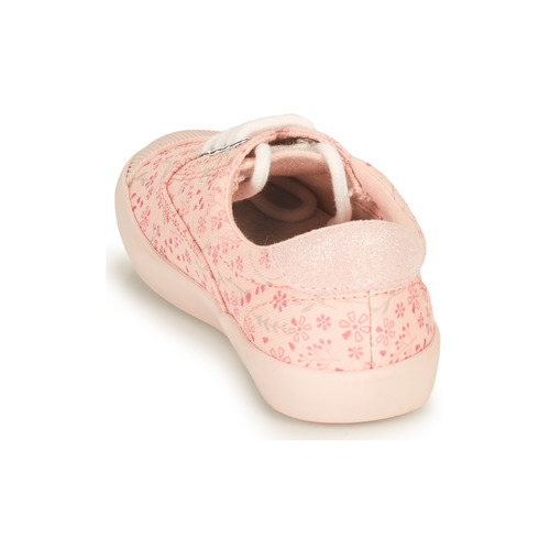 Aster - VANILIE - Rose