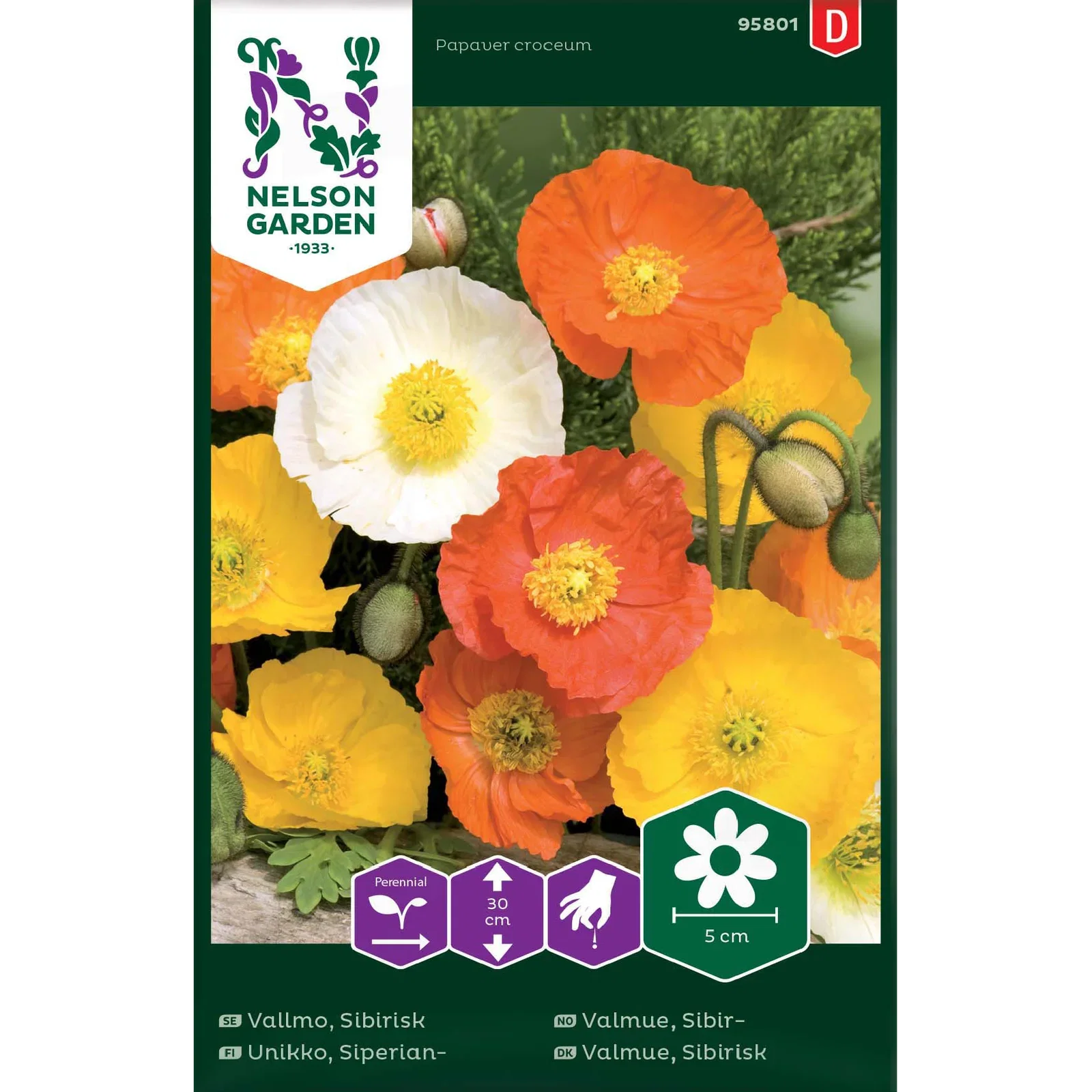 Papaver croceum Sibirvalmue