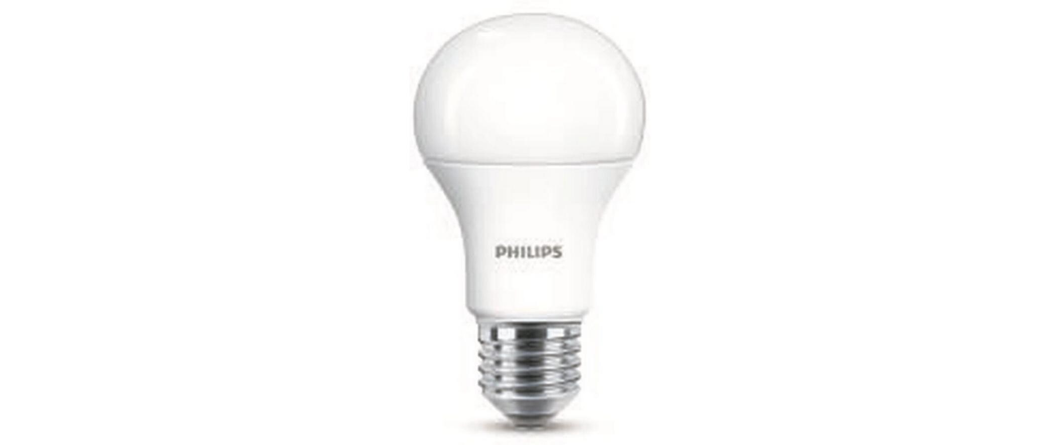 Lampe LED 100W E27 A67 WW FR ND 6PFDisc WarmweissLeuchtmittel A60 mit matter Oberfläche
