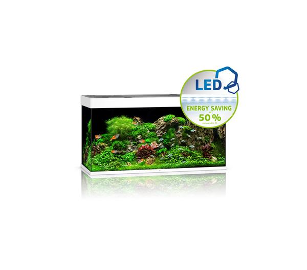 JUWEL® AQUARIUM Rio 350 LED