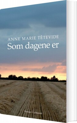 Som Dagene Er - Anne Marie Têtevide - Bog