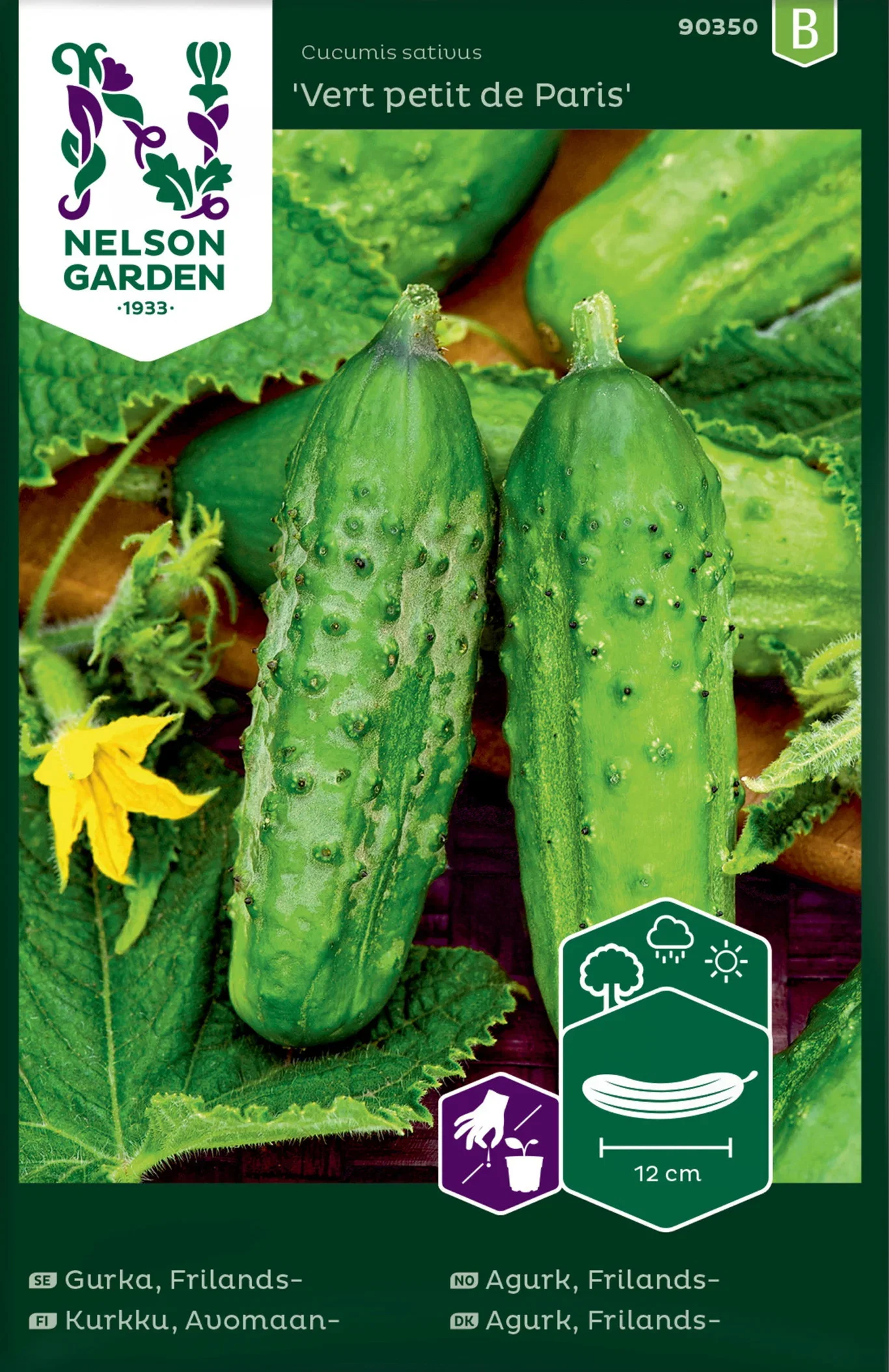 Cucumis sativus 'Vert Petit de Paris' Frilandsagurk ‘Vert Petit de Paris’