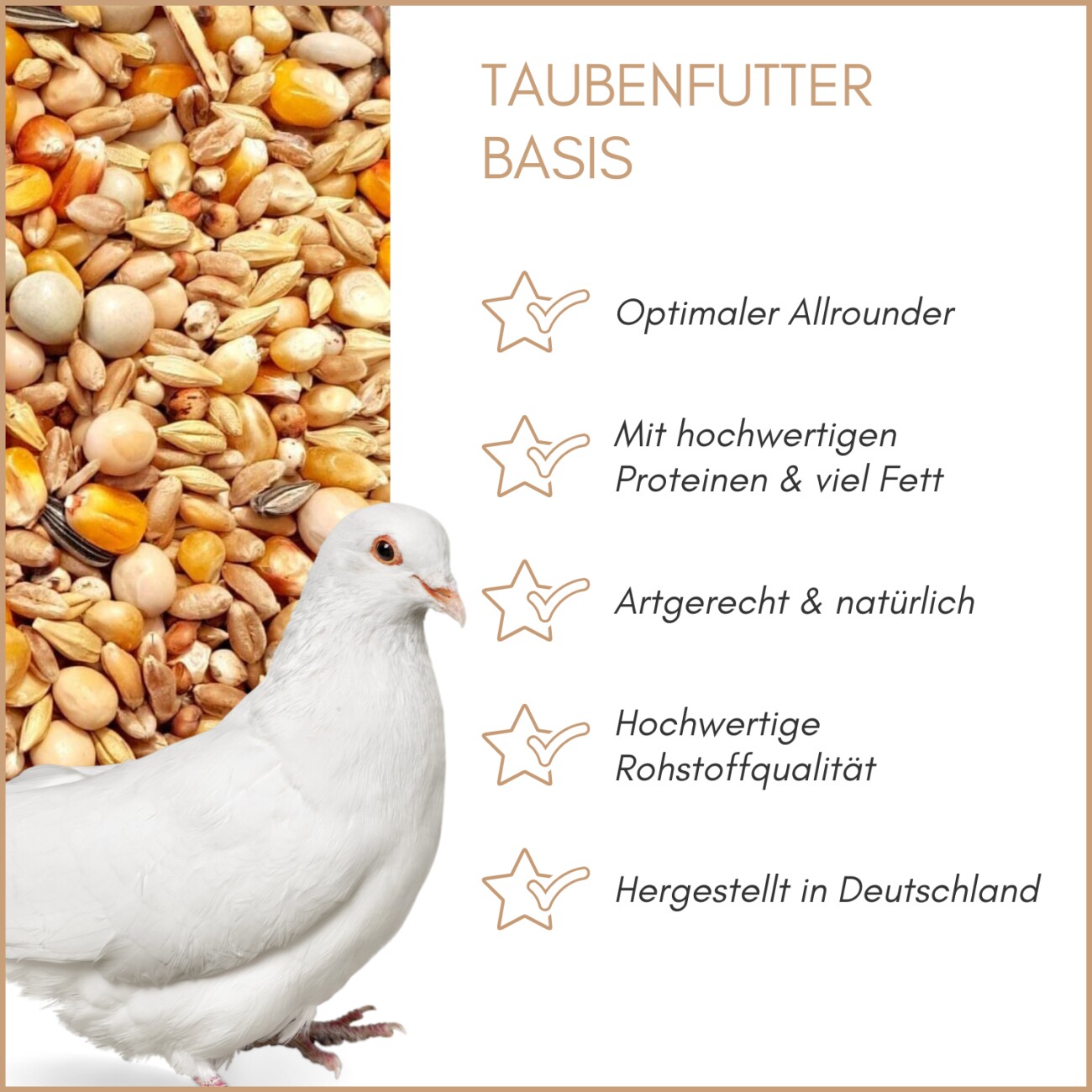 Supravit Taubenfutter BASIS | nahrhaftes Allroundfutter für Tauben | Klassische Futter Körnermischung für das ganze Jahr 5 kg