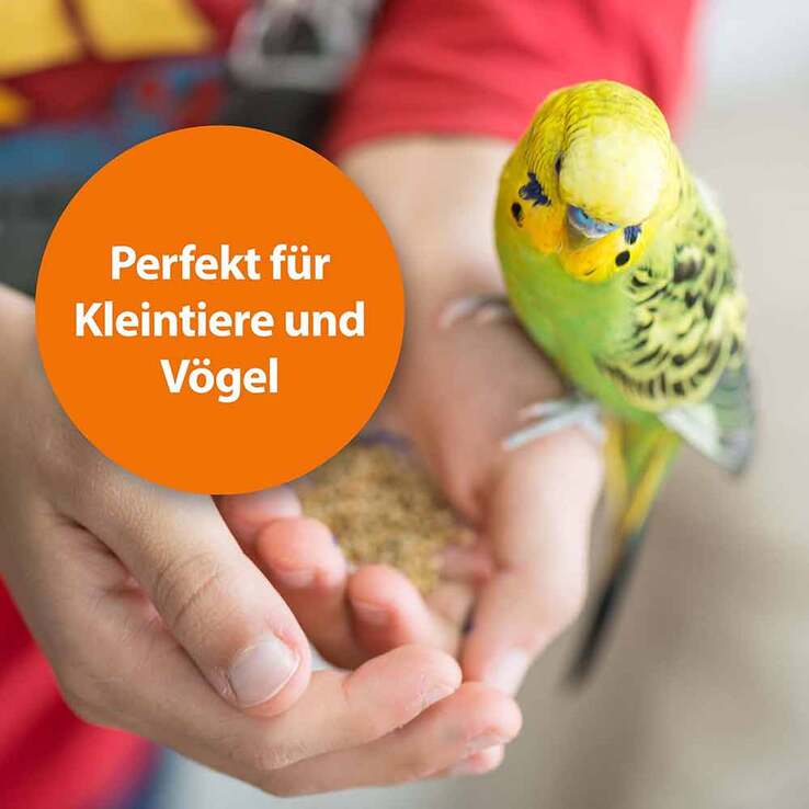 Ardap Milben- und Zeckenspray für Nager und Ziervögel, 100 ml