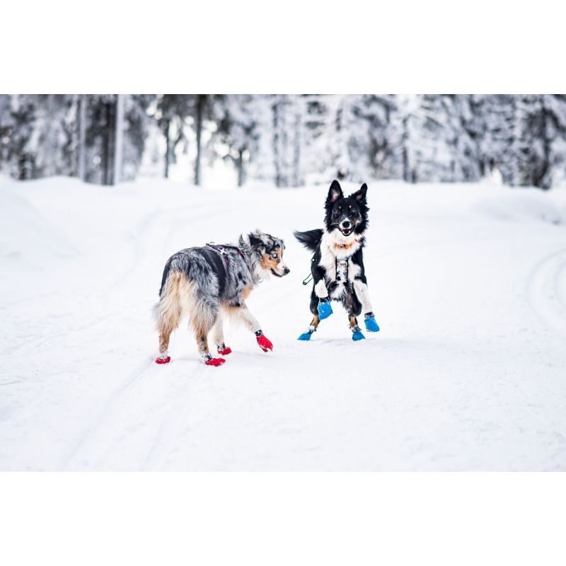 Long Distance Booties x 4 - Chaussures pour chien