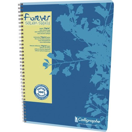 Cahier recyclé spirale Clairefontaine Forever A4 21 x 29,7 cm - petits carreaux 180 pages