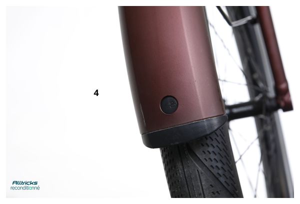 Vélo Ville Electrique Winora iRide Pure R5f Shimano Nexus 5V 400Wh Rose 2024 - Produit Reconditionné