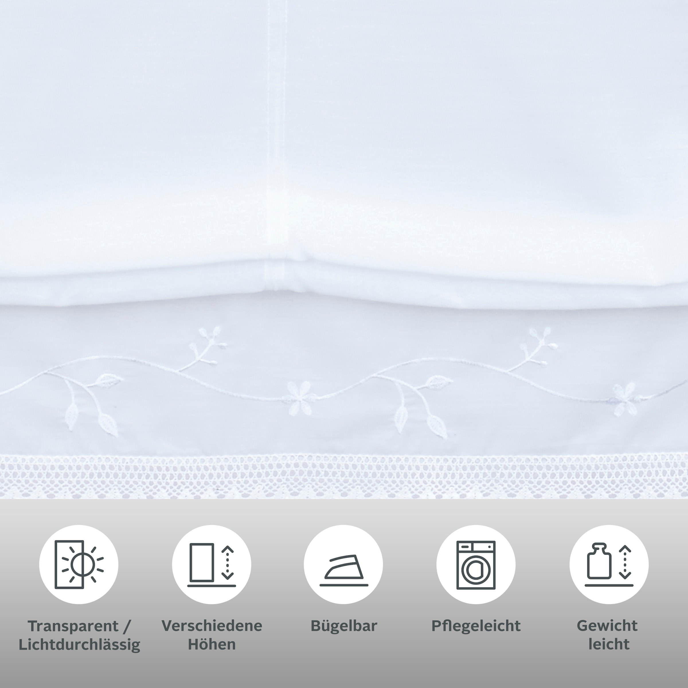 my home Raffrollo »Idaho« mit Klettband Transparent, Voile, Polyester