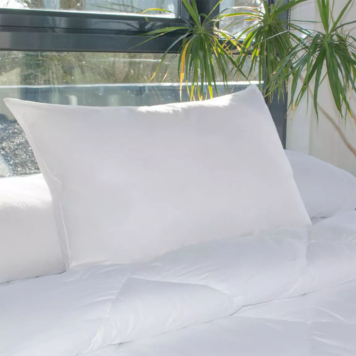 Lot de 2 oreillers rectangulaires (45 x 70 cm) Moelleux Anti-acariens Blanc