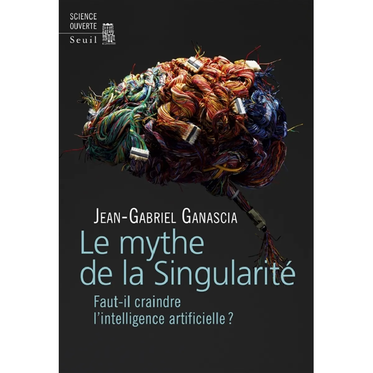 Le mythe de la singularité : faut-il craindre l'intelligence artificielle ? · Occasion