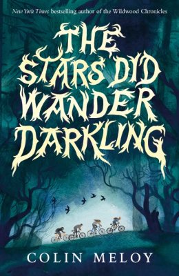 The Stars Did Wander Darkling (Paperback)