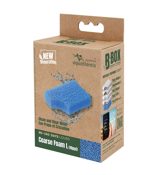 Aquatlantis B-Box Coarse Foam L