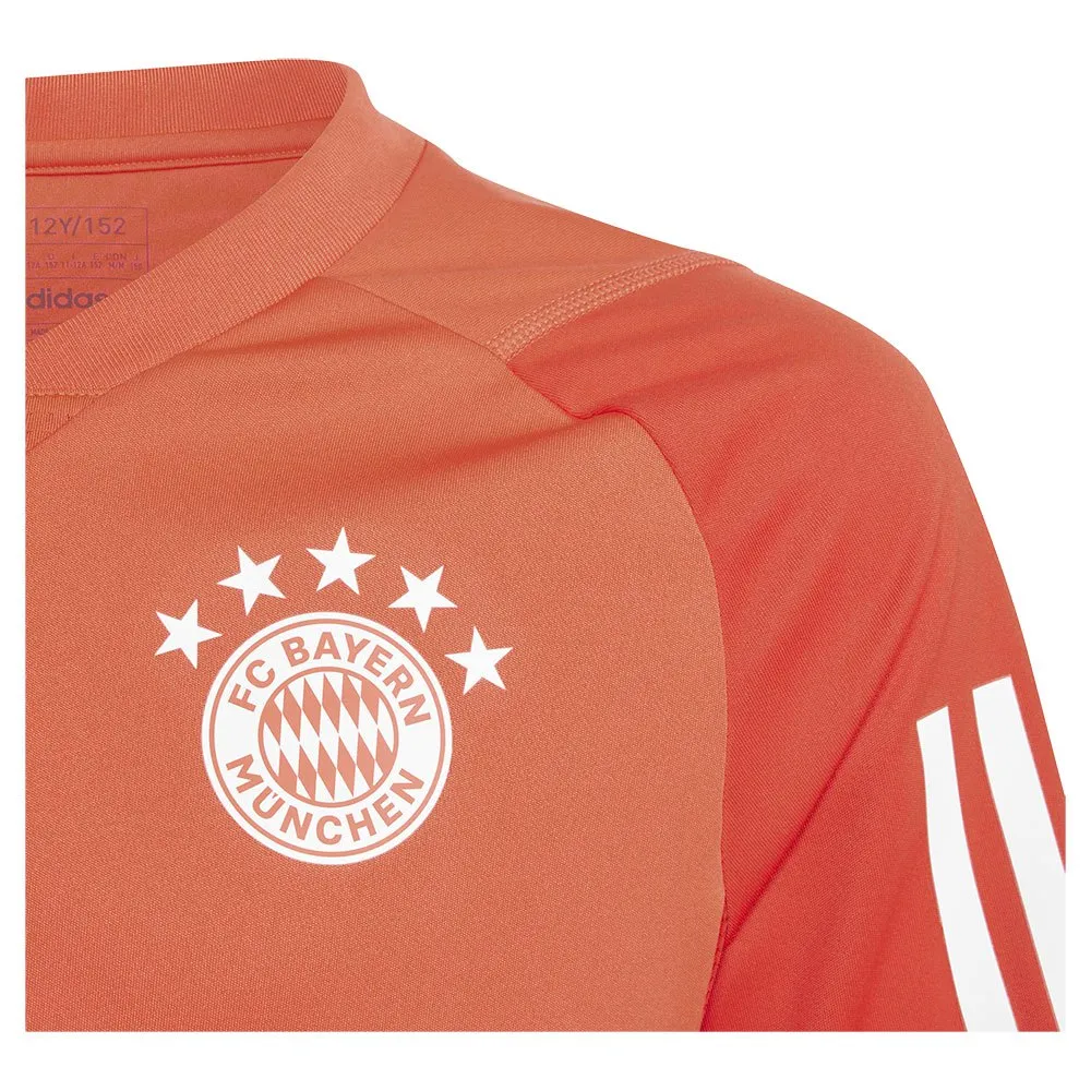 Camiseta de treino infantil de manga curta adidas FC Bayern Munich 23/24