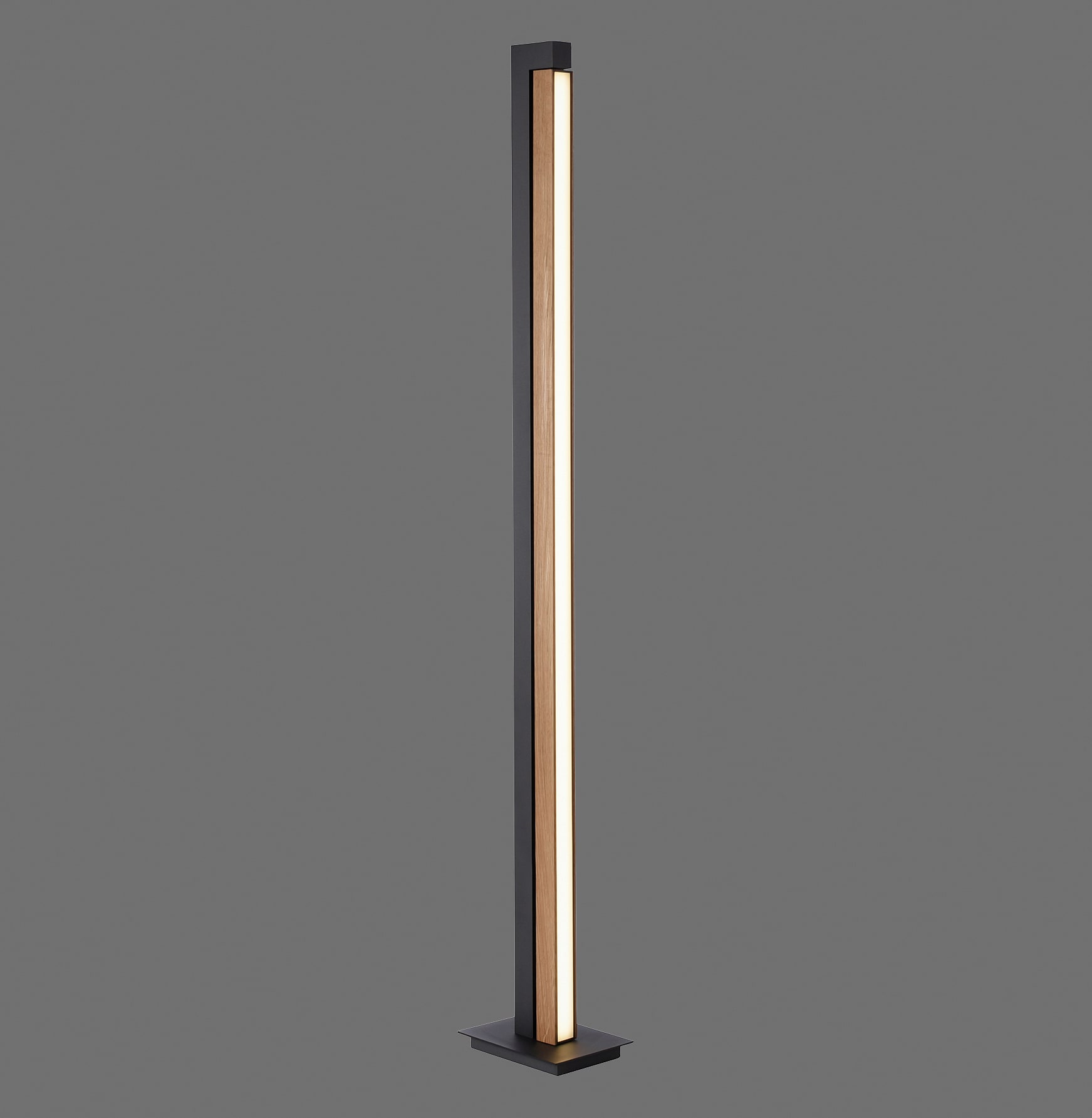 Paul Neuhaus LED Stehleuchte PURE-LINES 155 cm