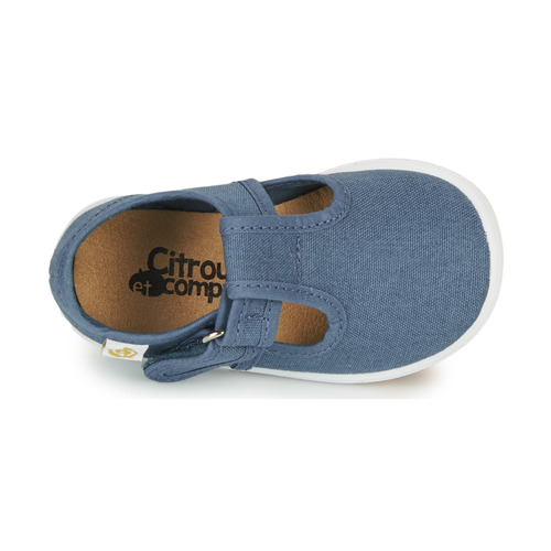 Citrouille et Compagnie - MATITO - Bleu