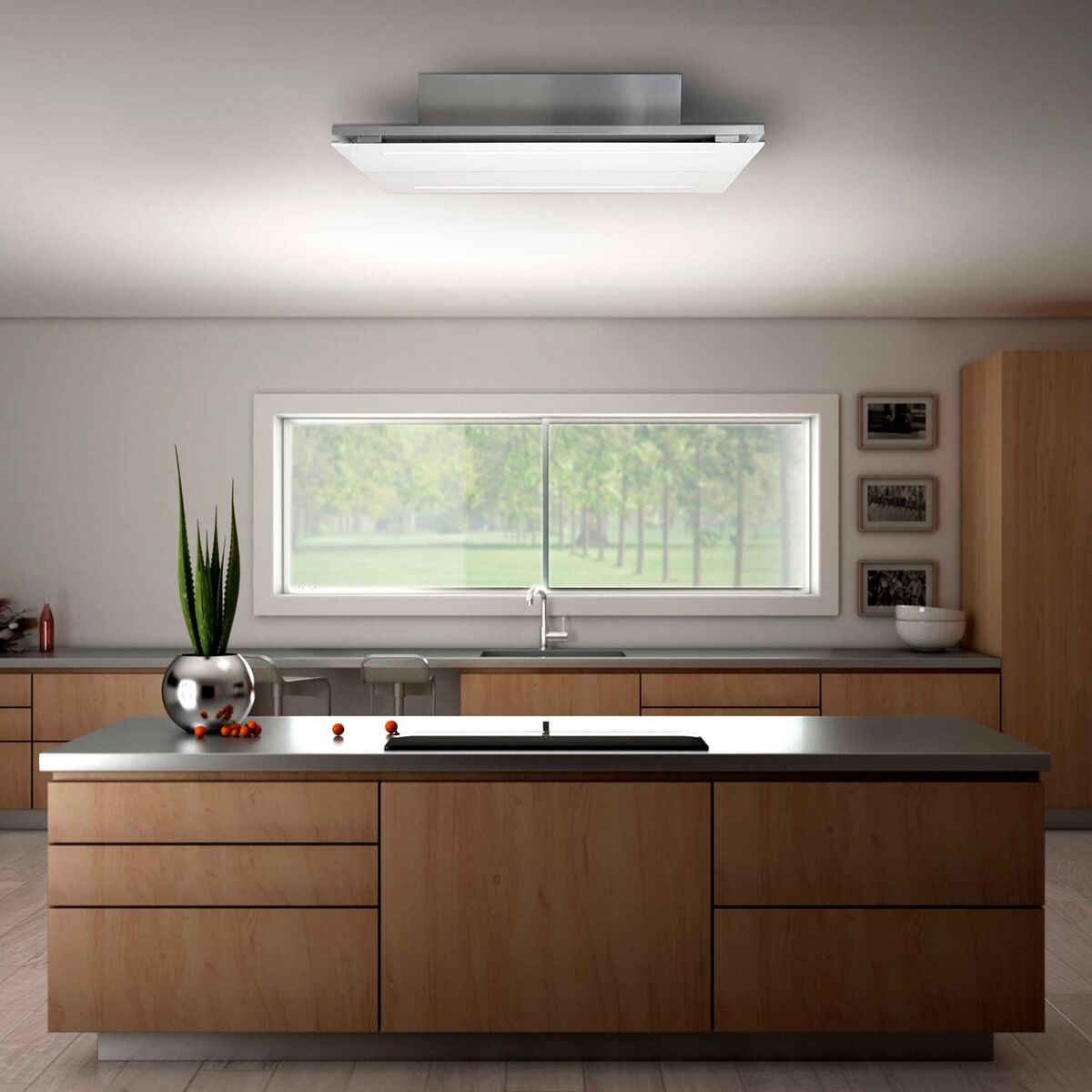 WS 960-2 takventilator