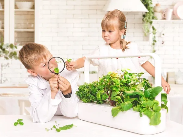 Click & Grow Smart Garden 9, LED, 9 Lampe( r)