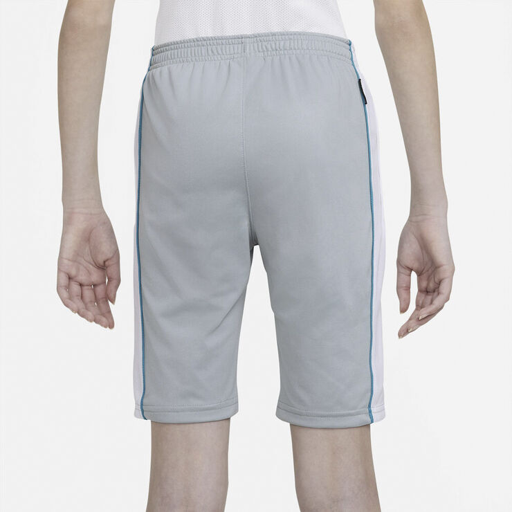Nike Dri Fit Academy Shorts Grå