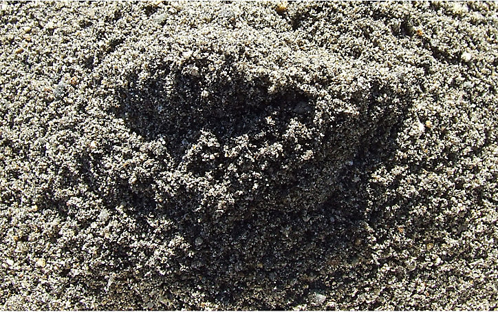Vrac Sable à bâtir +/-1m3
