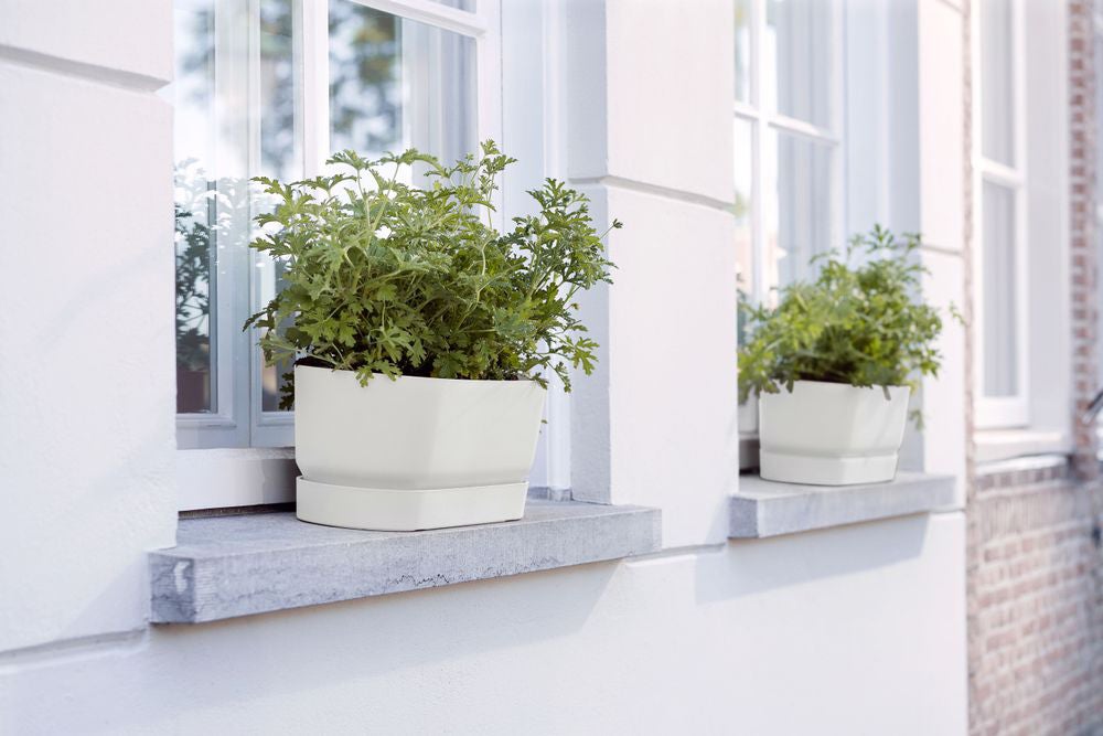 Elho plantenbak Greenville wit 69 x 19,5 x 18,5 cm