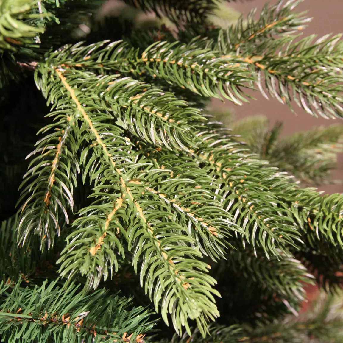 Sapin artificiel de Noël Caucasia Nordmann H240 cm Vert sapin