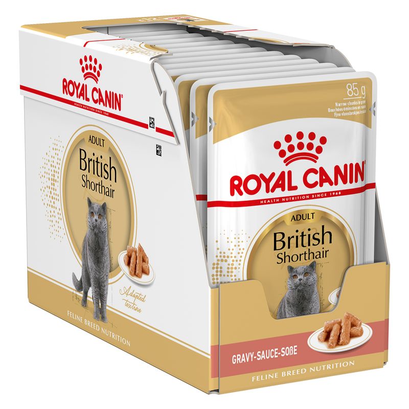 Royal Canin British Shorthair Adult en sauce