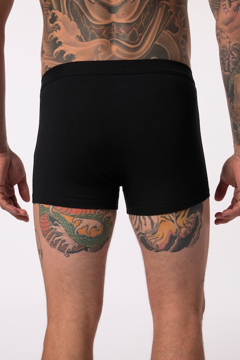 JP AWARE Hip-Pants im 2er-Pack, GOTS zertifizierte Biobaumwolle, Bauchfit, bis 7 XL
