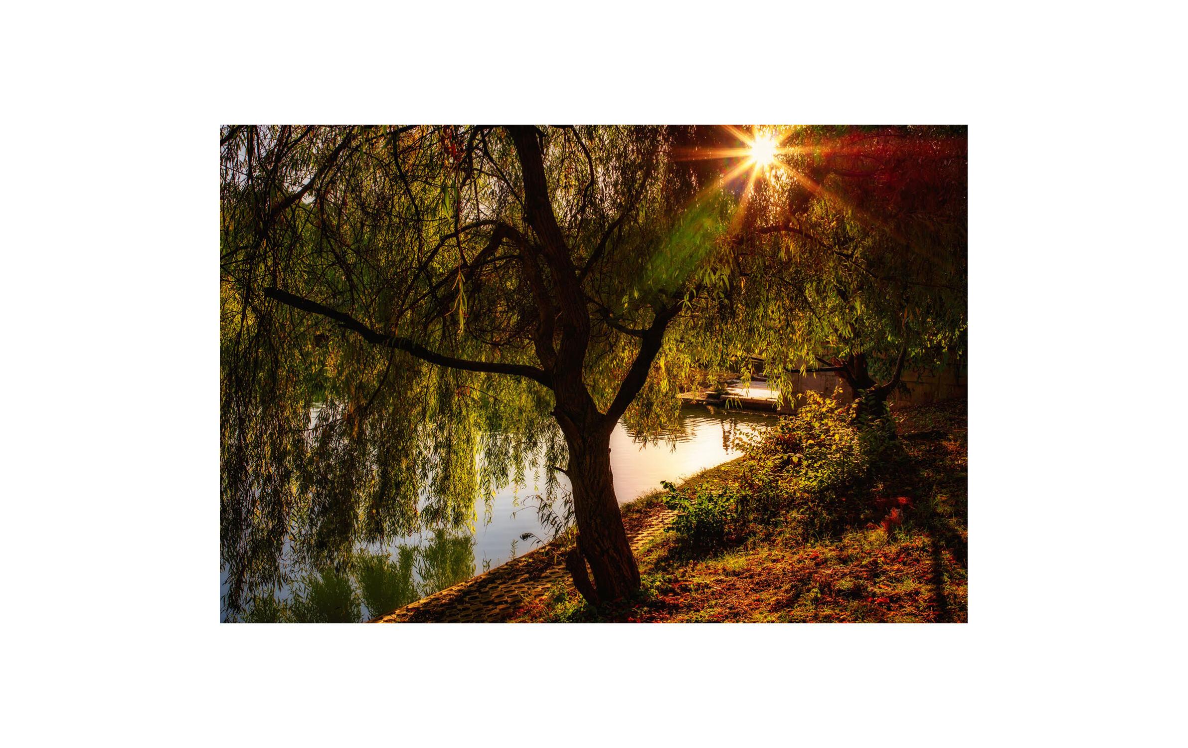 Festbrennweite 35mm F/2.0 – Leica M<br>Kompakte, leichte Festbrennweite mit hoher Schärfe