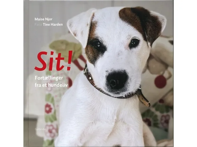 Sit! | Tine Harden;Maise Njor