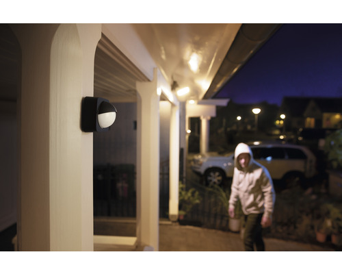 Philips Hue dimbare schijnwerper 30W 2300 lm Welcome zwart - Compatibel met SMART HOME van Hornbach