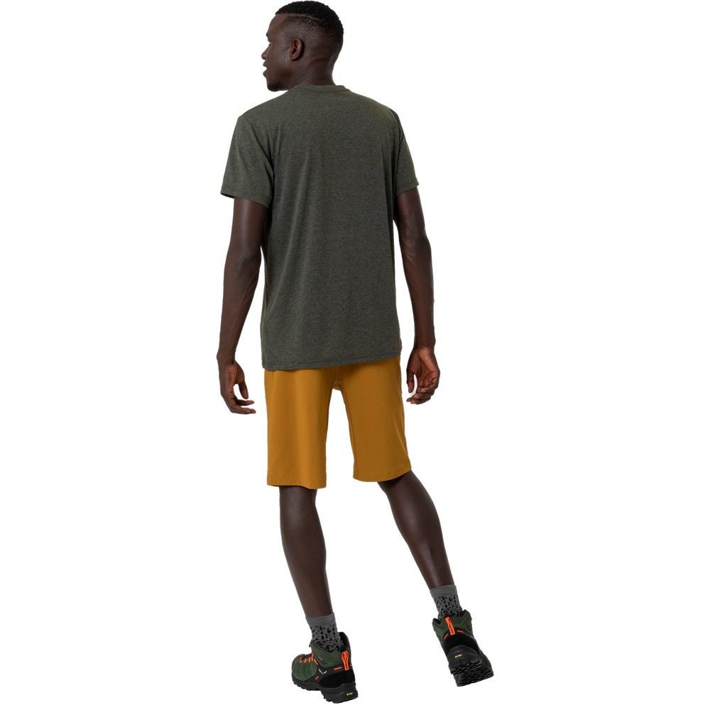 SALEWA Solidlogo Dry T-Shirt Herren dark olive melange