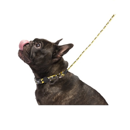 Coleira para cães Zooz Pets Charlie Brown em poliéster amarelo