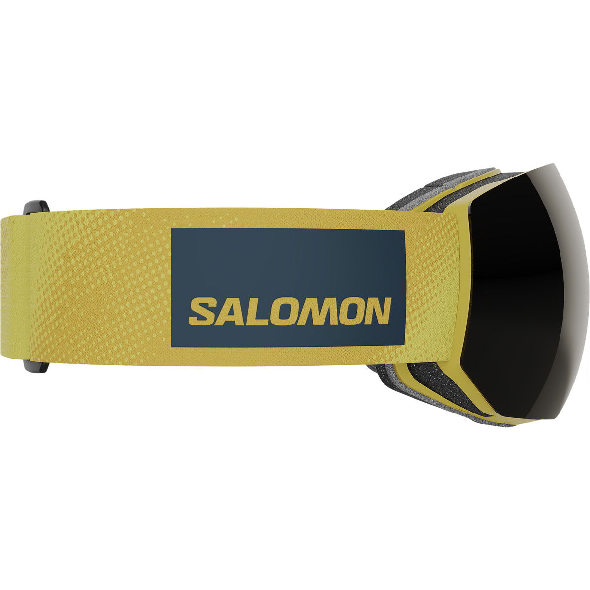 Salomon Radium Pro Skibriller