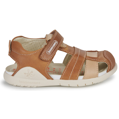 Biomecanics - 232258 - Cognac