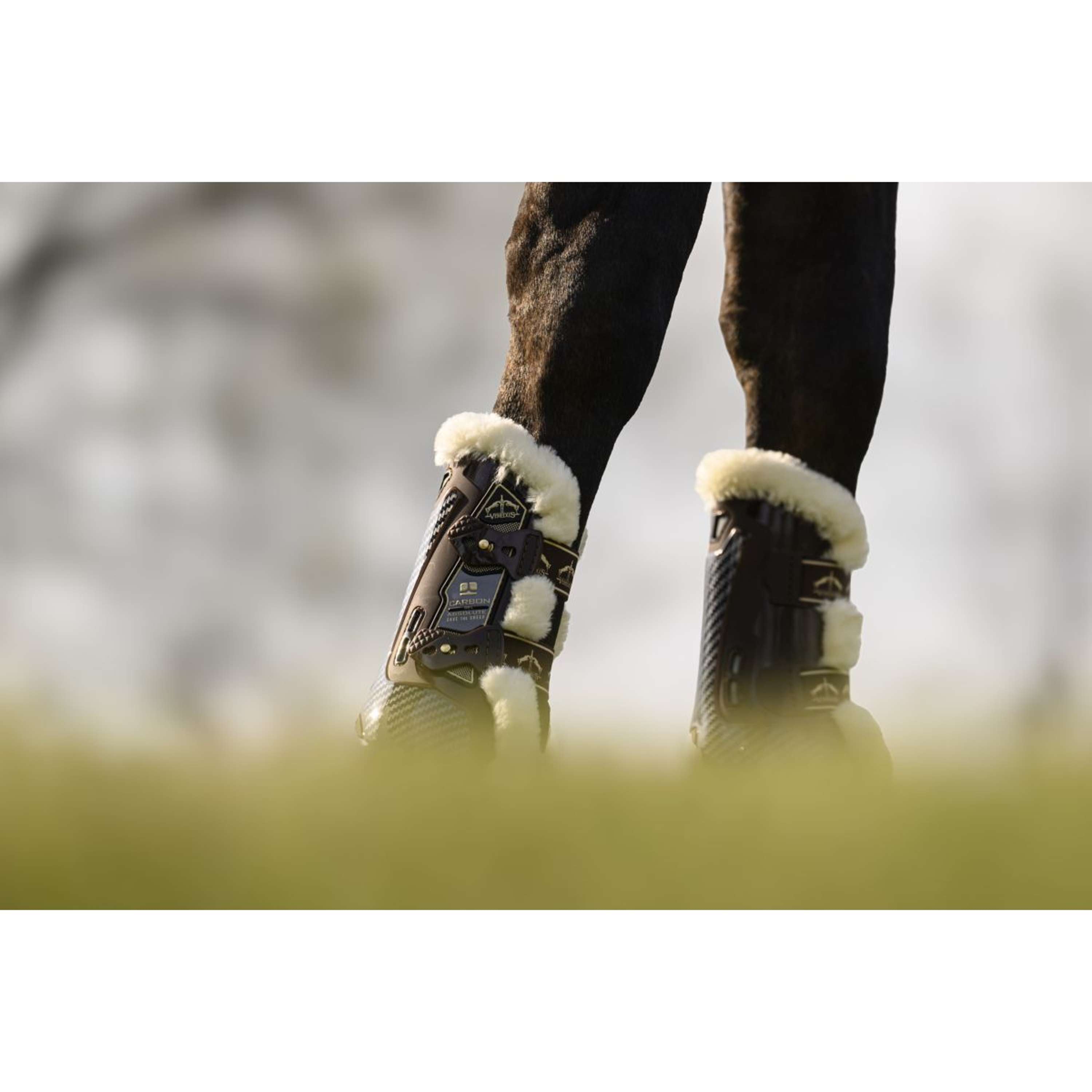 Veredus Peesbeschermers Carbon Gel Absolute Save the Sheep Front Bruin