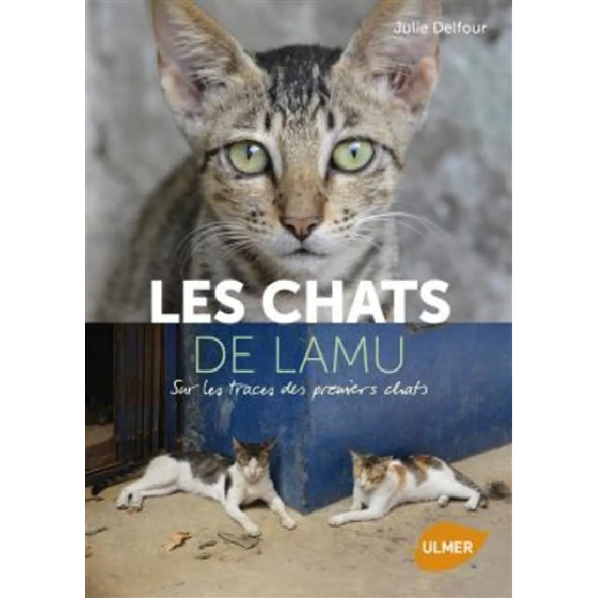 Les chats de Lamu : sur les traces des premiers chats · Occasion